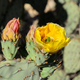 Image for article titled Shooting Challenge: Spring